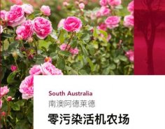 澳洲高端美妝品牌Jurlique茱莉蔻，成功入駐圣悅詩(shī)國(guó)際連鎖系統(tǒng)